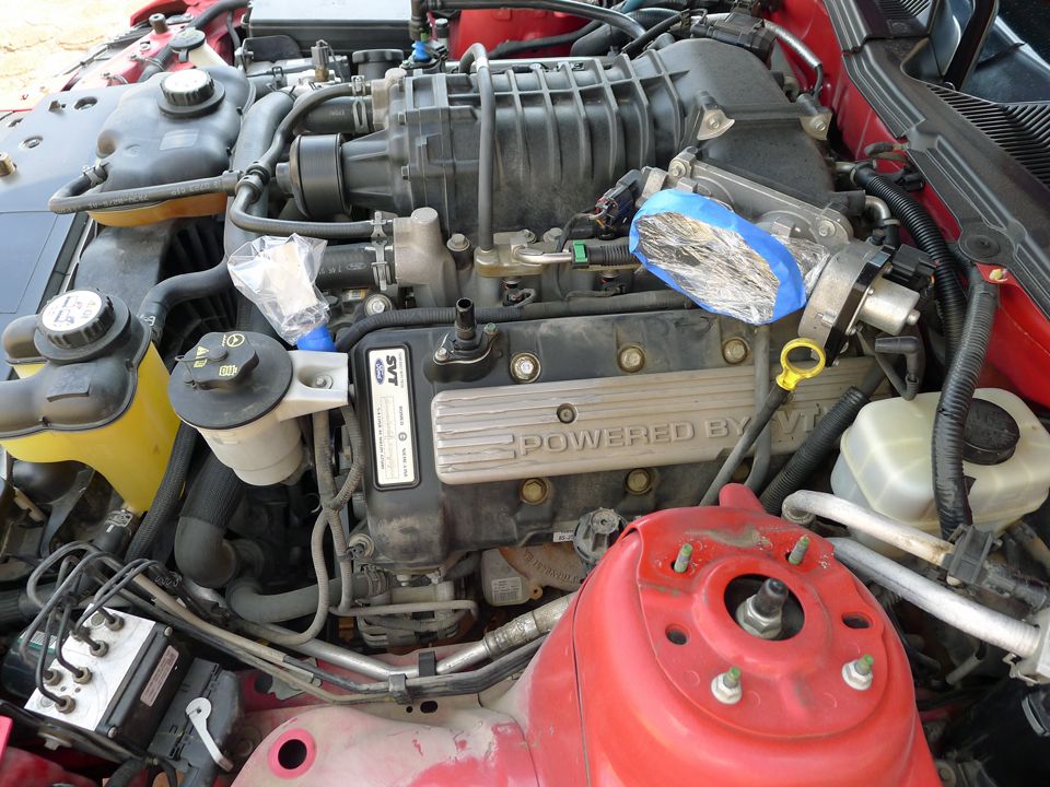 CAI installation and engine bay shine Detailing World Forum